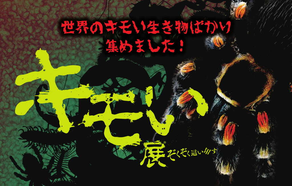 世界の気持ち悪い生き物を集めた キモい展 の衝撃を 7月15日にキモアニ達が大阪に初上陸 開催決定 キモい展実行委員会のプレスリリース