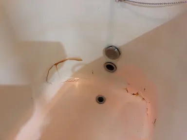 ホーロー浴槽さび(修理前)