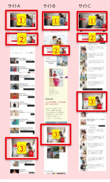 SOV100％イメージ