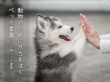 大森ペット霊堂 イメージ