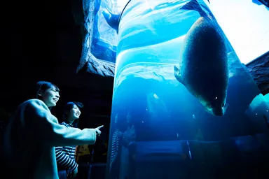 【OMO7 旭川】旭山動物園観光イメージ