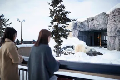 【OMO7 旭川】旭山動物園観光イメージ（冬1）