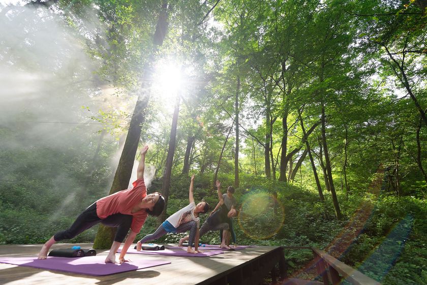 軽井沢星野エリア
心身と向き合い整えるフィットネスプログラム
「軽井沢　森の心身調律」が登場
期間：2019年5月11日～8月31日の毎週土曜日