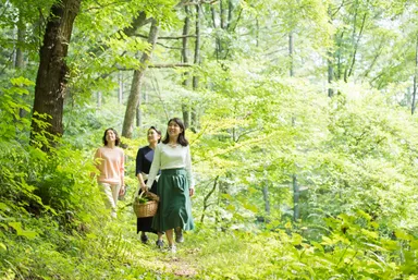 【星野エリア】森のテラスまで