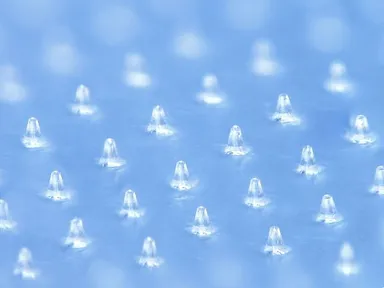 NISSHAのマイクロニードル(拡大写真)