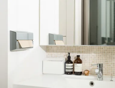 Paper towel case WALL PT