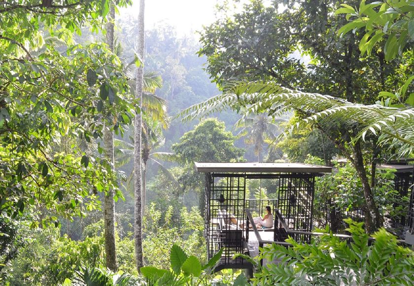 星のやバリ
朝日が差し込むジャングルを見下ろしながら味わう
「空中ガゼボ朝食」登場