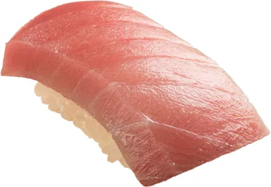 天然本鮪中とろ