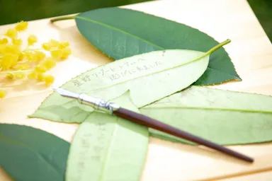 【トマム】葉の手紙イメージ