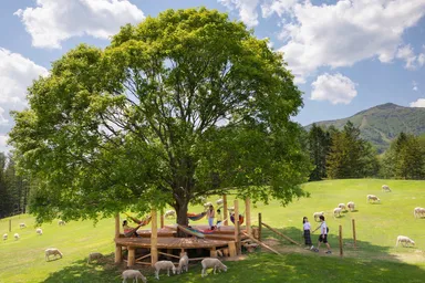 【トマム】羊とお昼寝ハンモック