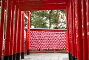 三光稲荷神社（観光協会webサイトhttps://inuyama.gr.jp/sanko-s.htmlより）