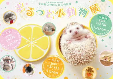 キービジュアル2