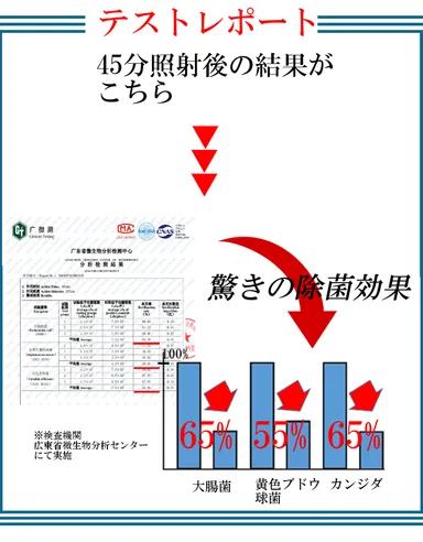 テストレポート