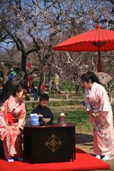 野点茶会　※昨年実施の様子