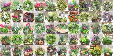 寄せ植えレシピ動画　一覧イメージ