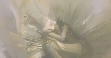 『ホフマニアダ　ホフマンの物語』より 2