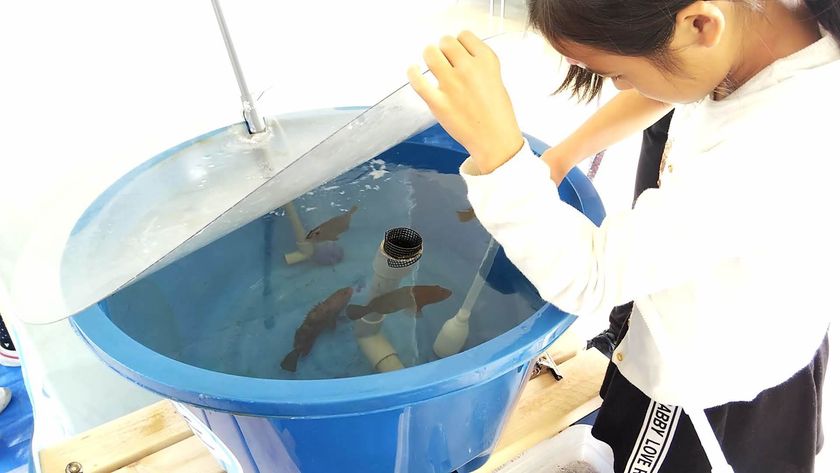 子供たちが愛情込めて育てた魚を自ら食べる“いのちの授業”
“陸上養殖”プロジェクト「感謝の会」を開催