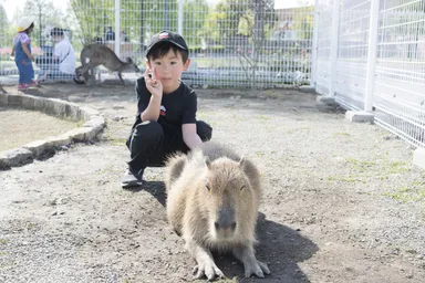 動物とのふれあい1