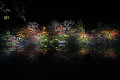 紅葉のライトアップ