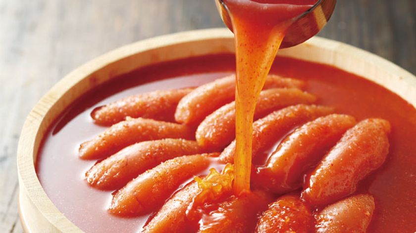 クラウドファンディング開始わずか50分で目標金額達成！！
博多っ子イチオシの明太子「島本」の
噴火湾できたて辛子明太子プロジェクト