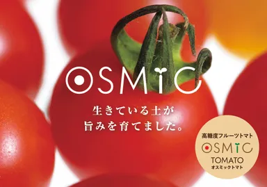 オスミック高糖度トマト