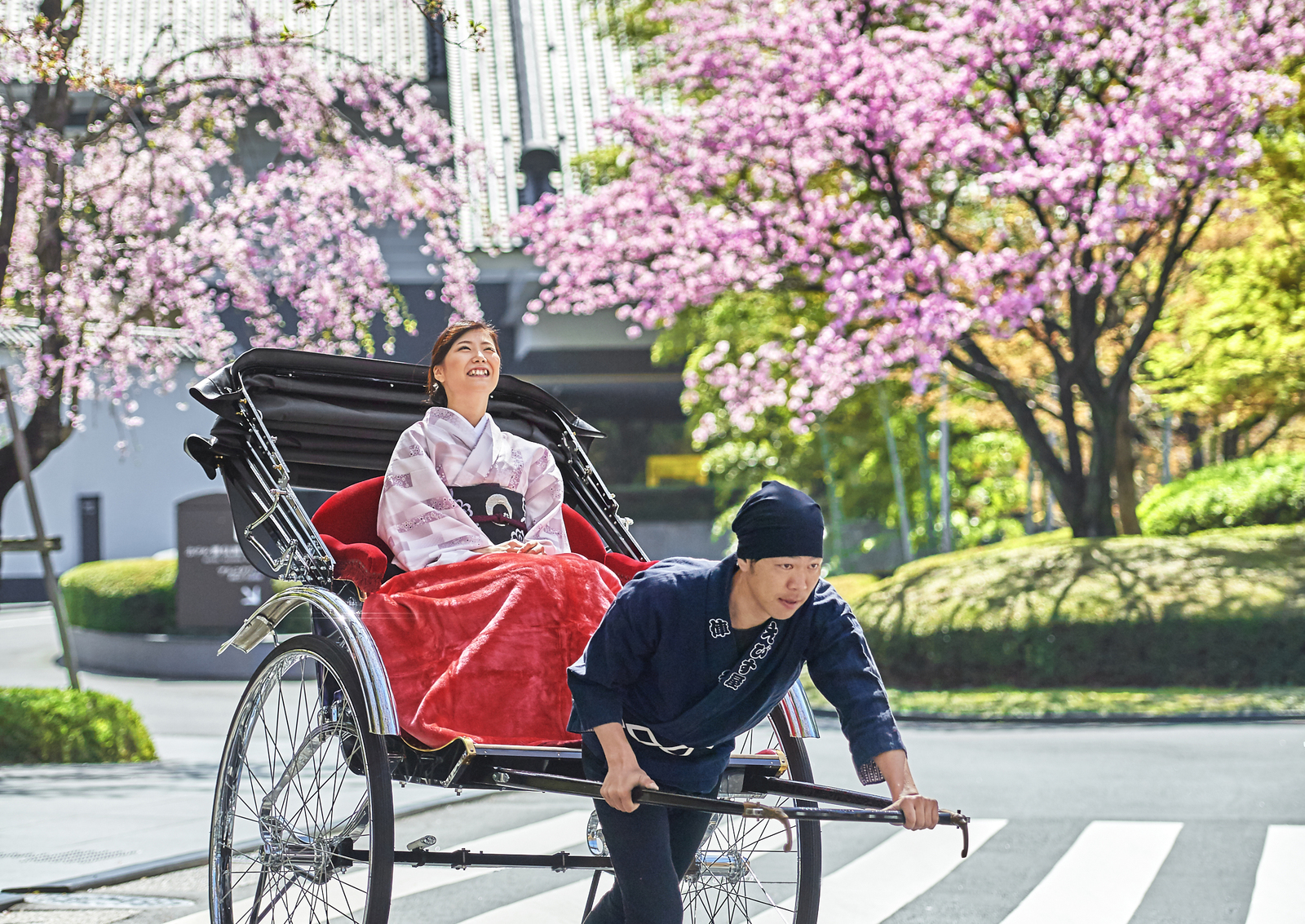 人力車で巡る目黒の観桜小旅行 桜が見ごろの3日間限定おもてなし体験宿泊プラン 2月日 水 より予約受付開始 ホテル雅叙園東京のプレスリリース