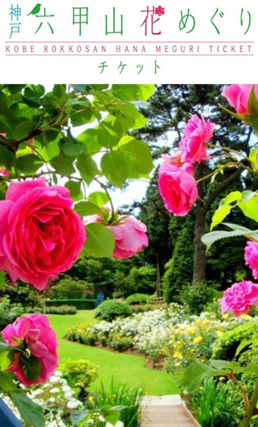 可憐に咲く花々とグルメを満喫！
「神戸 六甲山花めぐり」
5月10日（金）から7月31日（水）まで開催！
