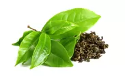 緑茶イメージ図