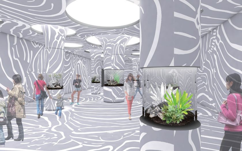 生きているミュージアム『ニフレル』に新ゾーン誕生
１．『かくれるにふれる』3月1日(金)オープン
２． 大人入館料金の改定について