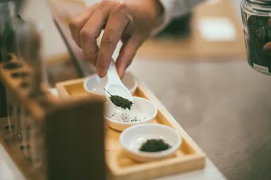 16種の知覧茶から、日本茶カフェオーナーが好みの茶種・品種を選び、試飲。
