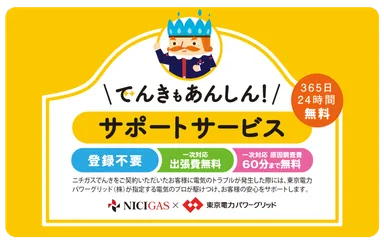 参考：でんきもあんしん！サポートサービス