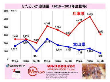 ほたるいか漁獲量