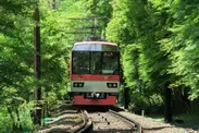 新緑の「もみじのトンネル」を走る展望列車「きらら」
