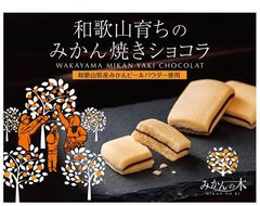 販売個数100万個突破！和歌山みかん使用の溶けないチョコレート　「和歌山育ちのみかん焼きショコラ(みかんの木)」