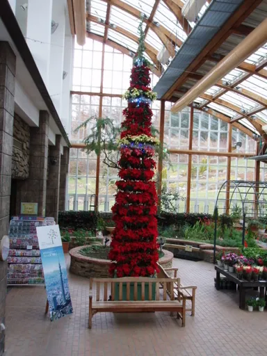 ポインセチアのガーデンスカイツリー 2