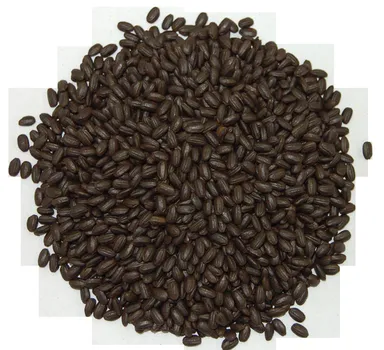 焙煎で食物繊維が白米の28倍！