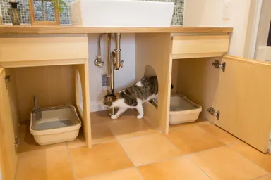 マイリノ洗面台2