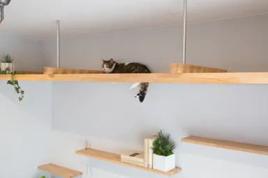 マイリノ キャットルーフ