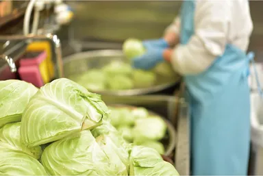 浜松餃子 浜太郎　浜松駅前店　キャベツ