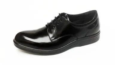 FP1100  BLA ￥19,000