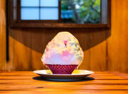まるで桜餅を食べているような味わい！迫力満点の「桜」のかき氷をはじめ、春の桜をテーマにした和風スイーツを九重味淋直営カフェ「K庵」が3月23日より期間限定販売
