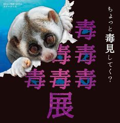 話題の「毒毒毒毒毒毒毒毒毒展(もうどく展)」が札幌に登場！東京、名古屋、大阪で延べ30万人を動員した特別展が札幌パルコで2019年3月22日(金)から5月7日(火)まで開催！