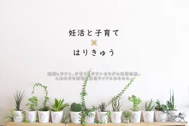 はりきゅう処 橙庵