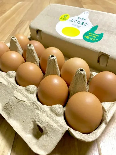 ふくたまご10個入り