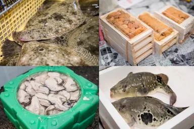 仲卸利州仕入れ　多彩な魚種(2)