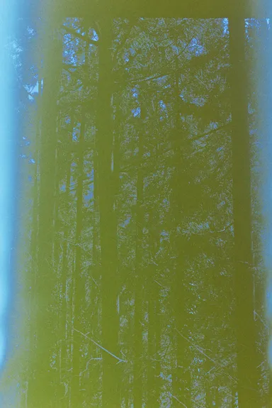 ファッションシュート 01 (C)Yusuke Yamatani