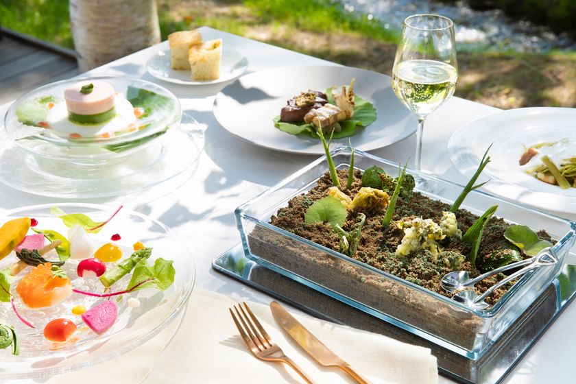 星野リゾート　トマム
季節限定の山菜のランチコース「ワイルドハーブランチ」を提供
期間：2019年5月13日〜6月28日の平日限定