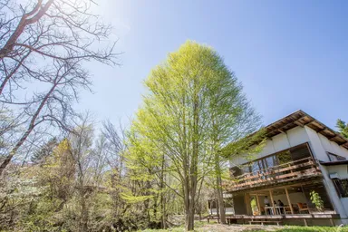 エロイーズカフェ　外観　２