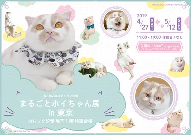 キービジュアル(横)