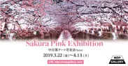 Sakura Pink Vol.4